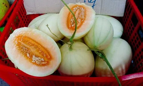 Dưa lê vàng như bí ngô: Đặc sản lạ đích thị hàng Trung Quốc