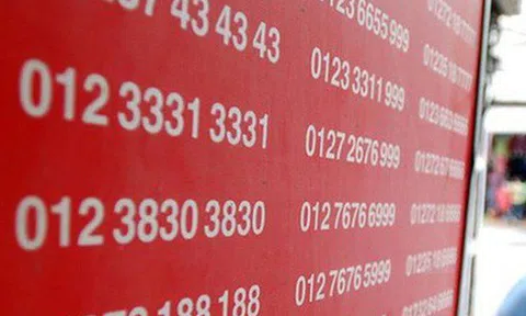 Hàng loạt đại lý ngừng bán sim 11 số vì lý do không ngờ