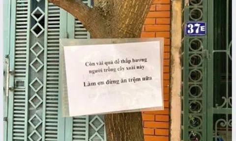 Tấm biển chống `xoài tặc` hài hước gây sốt cộng đồng mạng