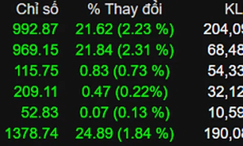Tiền đổ vào nhóm cổ phiếu lớn, VN-Index tăng 22 điểm