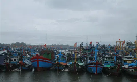 Hơn 2.000 du khách mắc kẹt ở đảo Lý Sơn