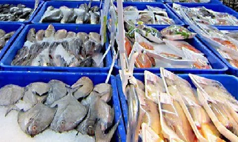 Xuất khẩu thủy sản đạt hơn 3 tỷ USD trong 5 tháng đầu năm