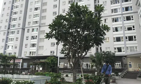 Kiến nghị thời hạn sử dụng đất tính từ ngày kinh doanh