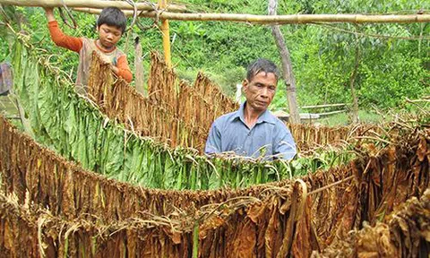 Vợ chồng 50 năm sống biệt lập giữa rừng Quảng Trị