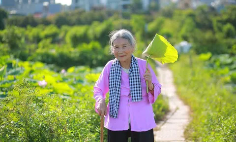 Bà ngoại xứ Nghệ khiến dân mạng phát sốt với loạt ảnh thần thái chụp bên đầm sen
