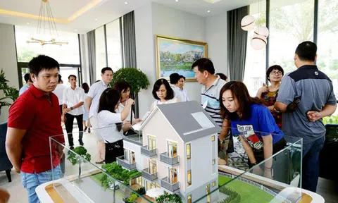 80% người mua đất nền hiện tại là để đầu tư