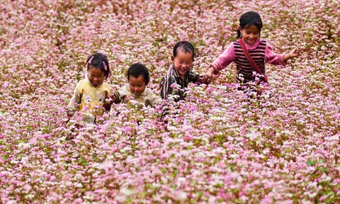 Mèo Vạc đâu chỉ có `đá chồng lên đá`