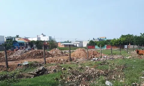 TP HCM: Loay hoay việc tách thửa, chuyển mục đích sử dụng đất
