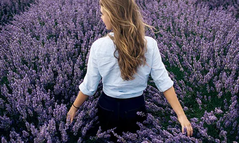 Công dụng tuyệt vời của tinh dầu oải hương trong việc làm đẹp da và tóc