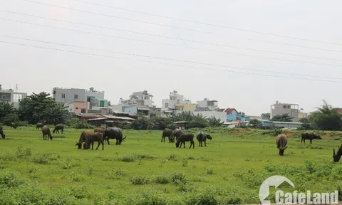 Thị trường đất nền: Giao dịch giảm, giá không giảm