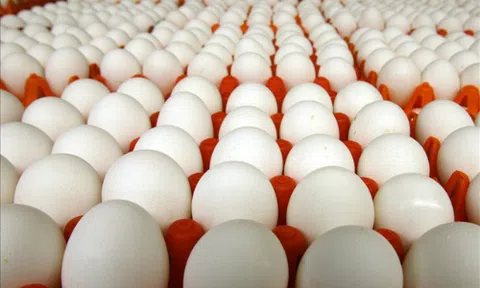 Giá trứng tăng cao