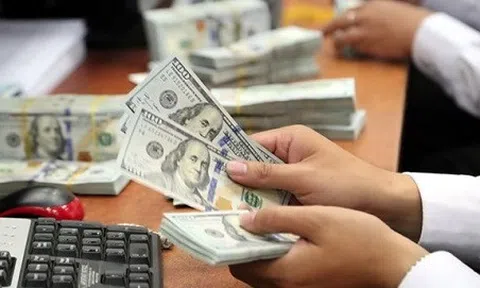 Tăng liên tục suốt tuần, giá USD đang sát mốc 23.000 đồng
