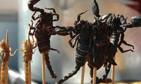 Kiếm bộn tiền nhờ bán đặc sản côn trùng kinh dị chiều lòng dân nhậu mùa World Cup 