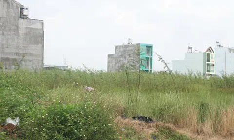 Mua nhầm nhà thuộc quy hoạch có đòi được tiền cọc?