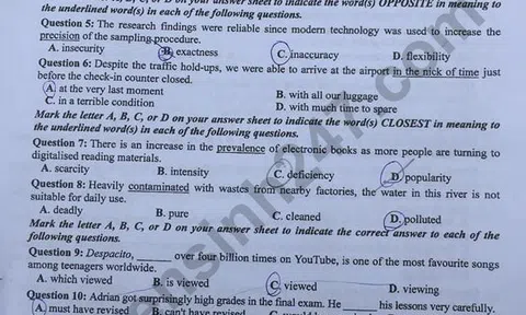 Bài giải đề thi Tiếng Anh THPT quốc gia 2018 – Mã đề 408