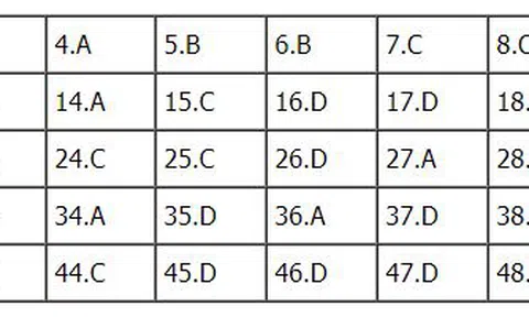 Bài giải đề thi THPT Quốc Gia 2018 môn Anh - Mã đề 420