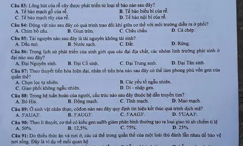  Đề thi môn Sinh học THPT quốc gia 2018 - Mã đề 202