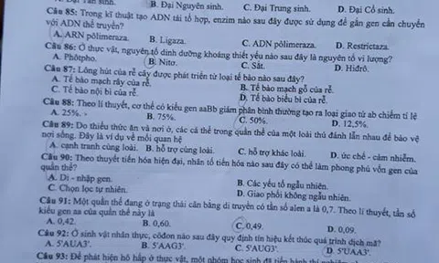 Đề thi môn Sinh học THPT quốc gia 2018 - Mã đề 210
