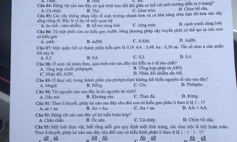 Đề thi môn Sinh học THPT quốc gia 2018 - Mã đề 211