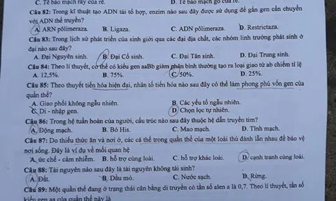 Đề thi môn Sinh học THPT quốc gia 2018 - Mã đề 216