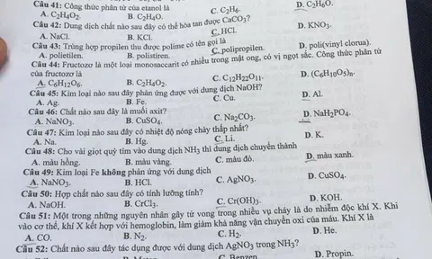 Đề thi môn Hóa kỳ thi THPT Quốc Gia - Mã đề 209