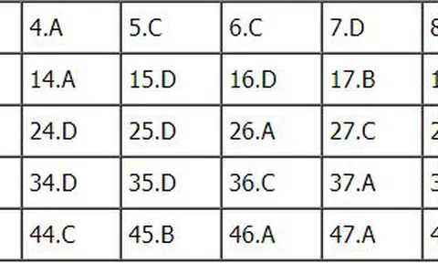 Bài giải đề thi THPT Quốc Gia 2018 môn Anh - Mã đề 409 