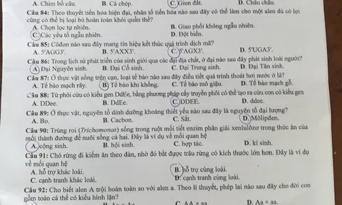 Đề thi môn Sinh học THPT quốc gia 2018 - Mã đề 206