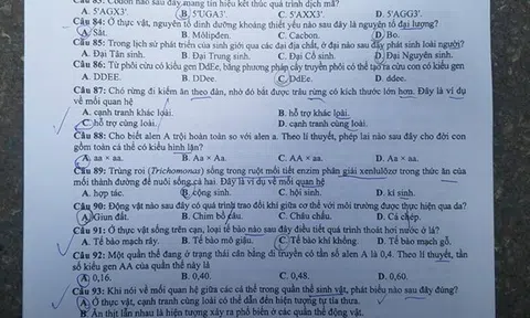 Đề thi môn Sinh học kỳ thi THPT Quốc Gia - Mã đề 214