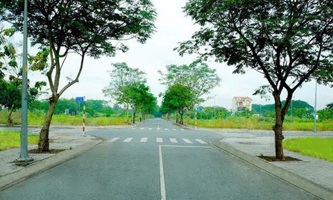 Đầu tư đất nền dự án: Không nên cứ thấy rẻ là mua