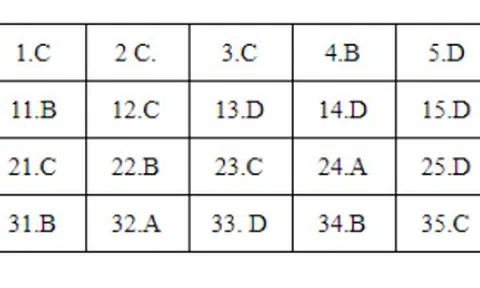 Bài giải môn Lịch sử kỳ thi THPT quốc gia 2018 – Mã đề 316