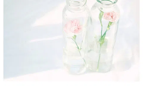 Một mình cũng là một loại hạnh phúc đấy