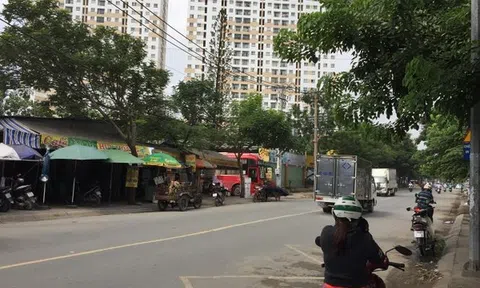 Cảnh báo rao bán đất nền dự án `ma` ở TPHCM