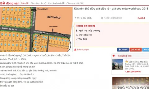 Thua độ World Cup bán cả chục lô đất: Cẩn thận sập bẫy lừa con buôn