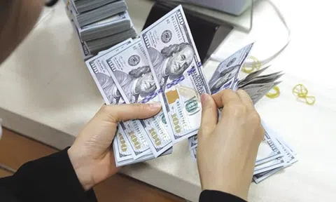 Tỷ giá không có dấu hiệu căng thẳng