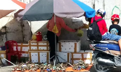 Cua biển gắn mác Cà Mau bán đổ đống vỉa hè Sài Gòn
