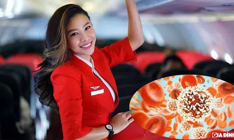 Nữ tiếp viên hàng không có nguy cơ mắc ung thu vú cao bất thường