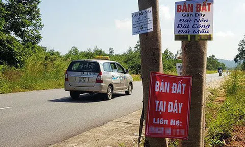 Sau “sốt” đất, chuyên gia nói “chưa có gì phải hốt hoảng”