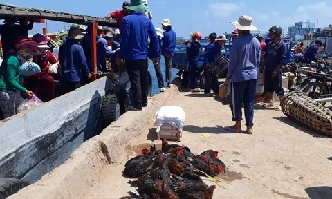 Hà Nội nắng nóng đỉnh điểm, nhiều người không dám ra đường