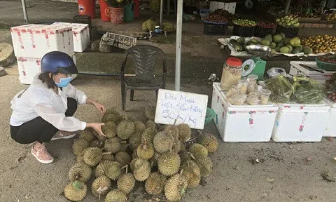 Hạt sầu riêng giá cao hơn quả tại Lâm Đồng