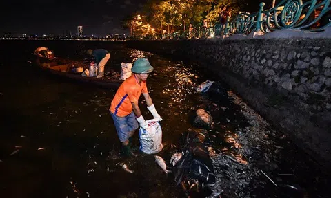 Hàng trăm công nhân trắng đêm vớt xác cá hồ Tây