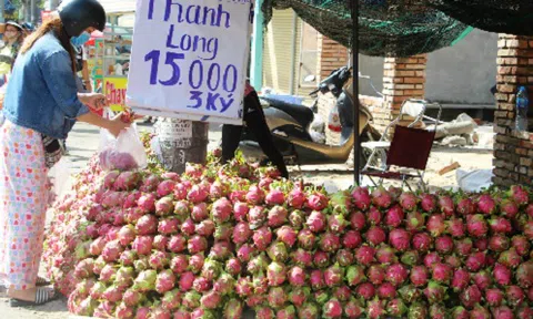 Thanh long giá rẻ bán đầy vỉa hè Sài Gòn