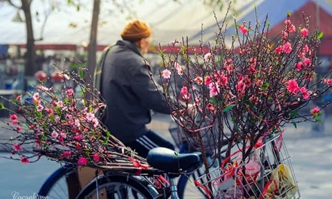 Chính thức nghỉ Tết Âm lịch năm 2019 9 ngày, dịp 30/4 nghỉ 5 ngày