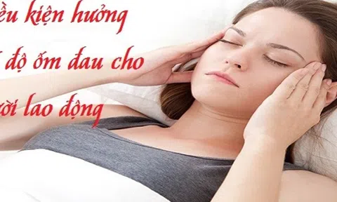 Chế độ phù hợp với các loại bệnh tật như thế nào?