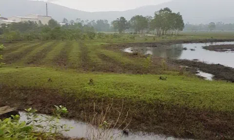 Vụ cán bộ xã “phù phép” 13 lô đất ở Huế: Kiến nghị thu hồi