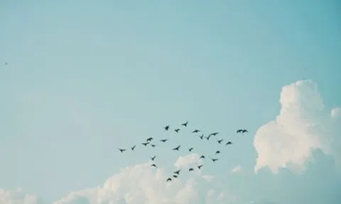 Kiếp nhân sinh ý nghĩa không nằm ở việc đạt được, mà ở chỗ buông bỏ