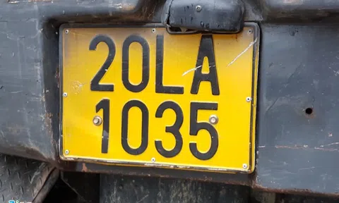 Hiệp hội taxi lại kiến nghị Phó thủ tướng một loạt quy định quản Grab