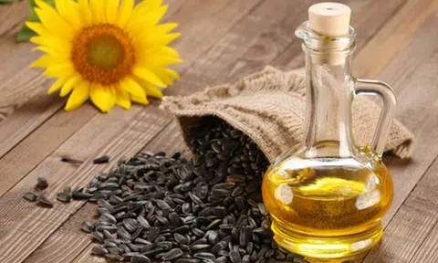Dầu hướng dương – Thức quà chăm sóc làn da từ loài hoa mặt trời