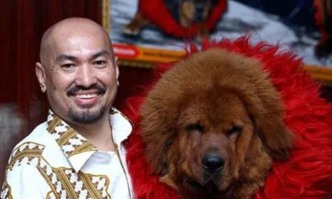 Kinh sợ Ngao Tạng: Thú hoang giết người, `thần khuyển` triệu USD