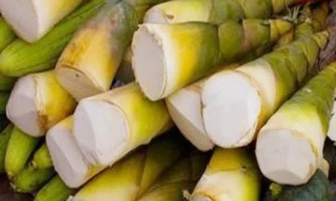 Những cách khử độc măng tươi an toàn, hiệu quả nhất