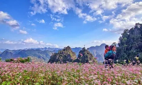 Hà Giang có gì lạ mà ai cũng muốn check-in vào tháng 10?